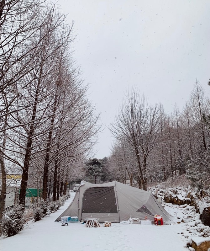완주 민들레동산힐링센터 화이트 크리스마스 캠핑