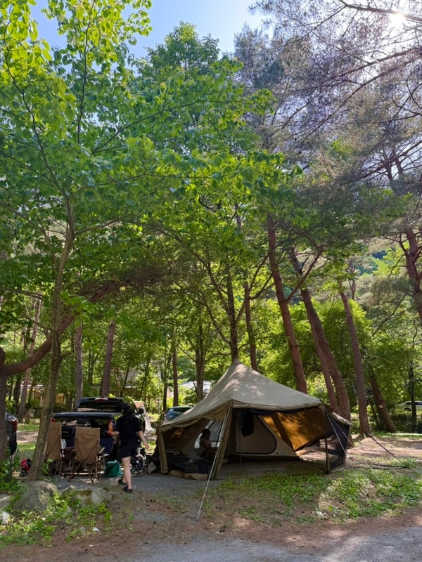 밀캠로그 #12 양양 갈천오토캠핑장(사이트 133번 후기)