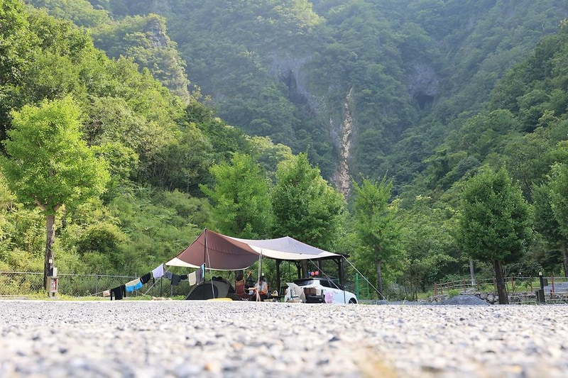 코끼리마을 시설 사진 19