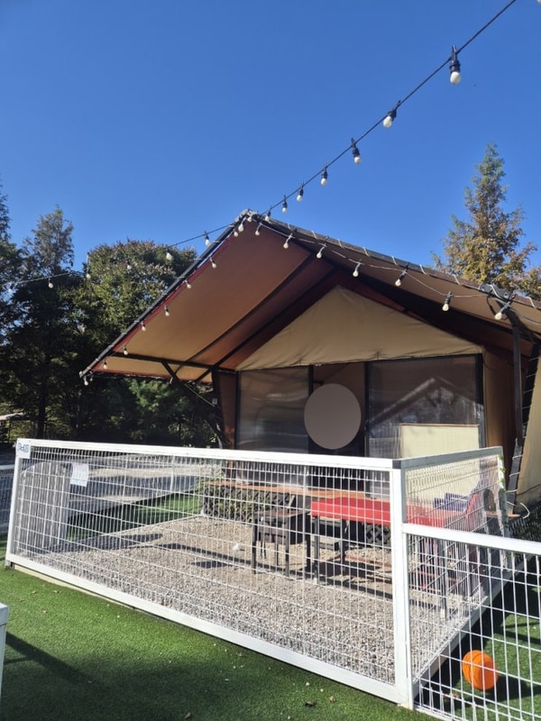 포천 글램핑 가족 커플끼리 가기 좋은 백운계곡캠핑장