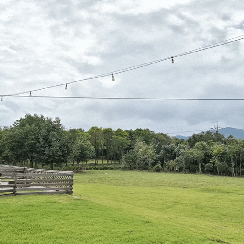 산책코스 좋은 전남 애견 글램핑 추천!!! '장흥 땡땡이 글램핑'
