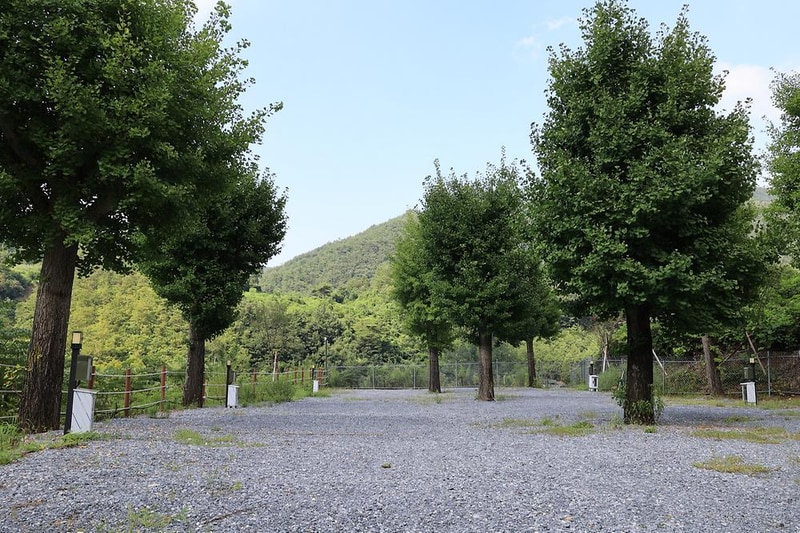 코끼리마을 시설 사진 5