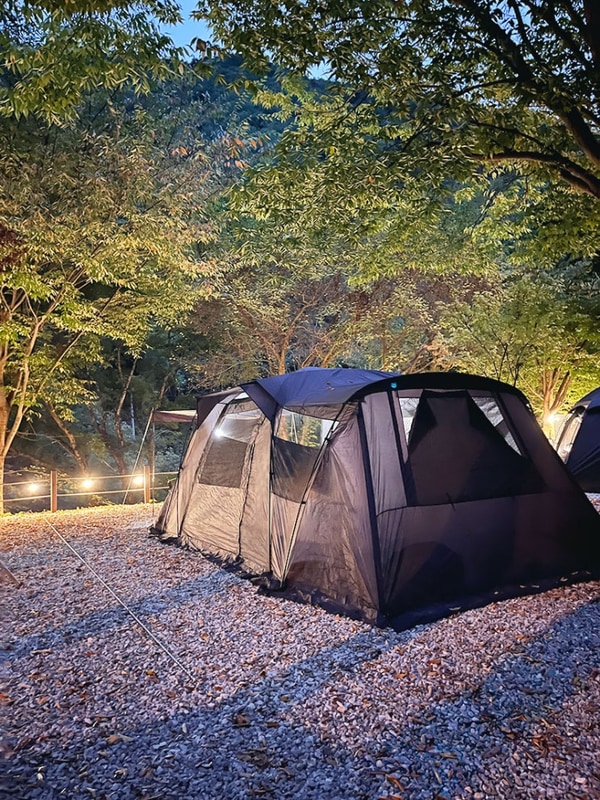 봉화별캠핑장 2박3일 (경북봉화 노키즈캠핑장/계곡캠핑장...