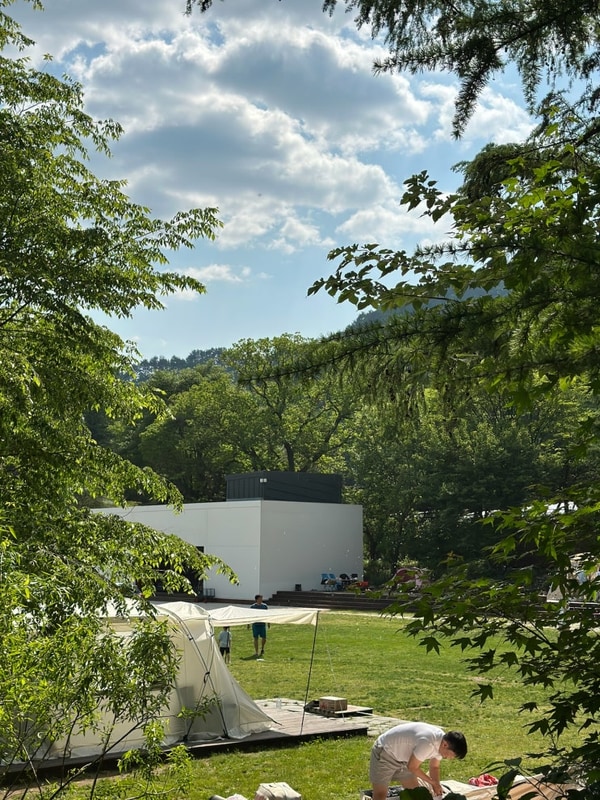 ⛺️ 평창 휘게포레스트 캠핑장 명당 of 명당 B11 사이트 2박...