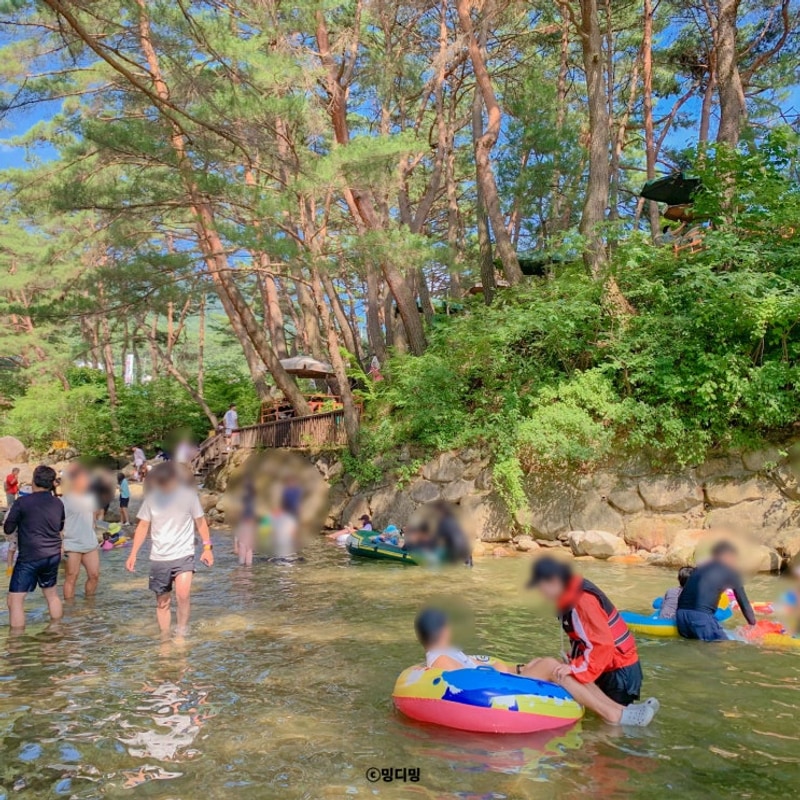 전주 근교 계곡 취사 가능한 전북 무주 계곡 솔내음 캠핑장