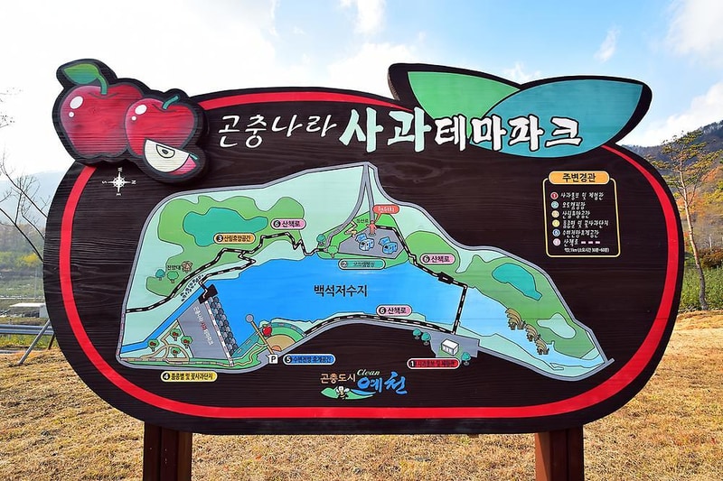 예천군 곤충나라 사과테마파크 오토캠핑장 시설 사진 2