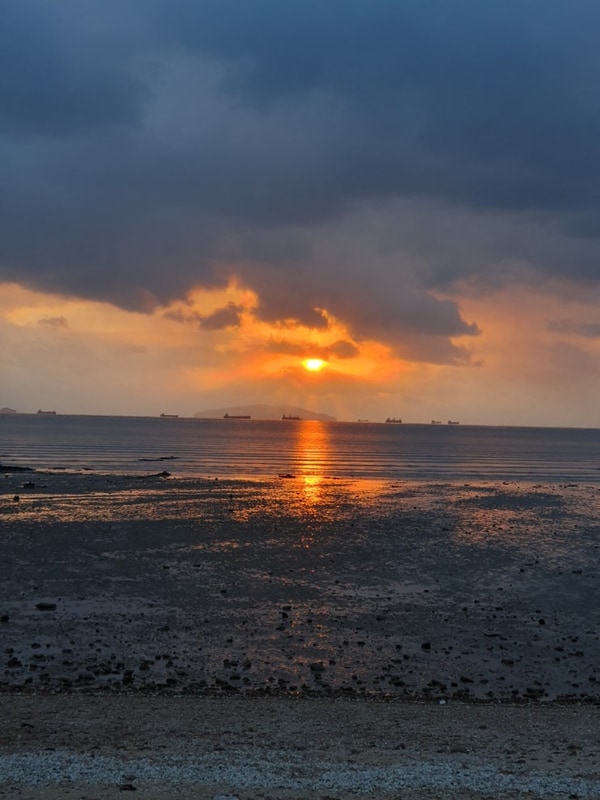 [경기/안산] 나라펜션캠핑장