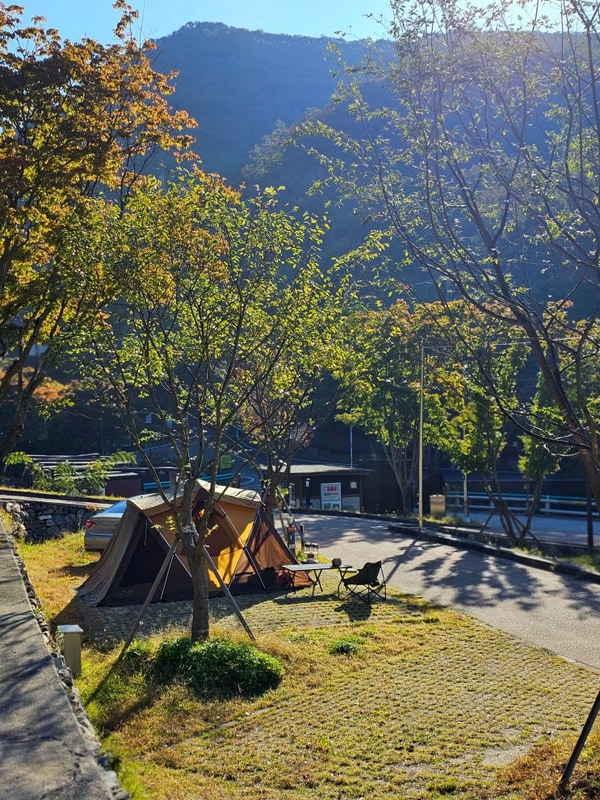 화순 한천자연휴양림 캠핑장 솔캠 후기 | 사이트 구성·편의시설...