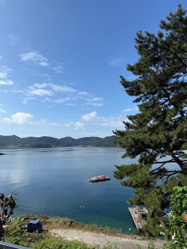 통영노을캠핑장. (노을맛집.예약정보.장단점)