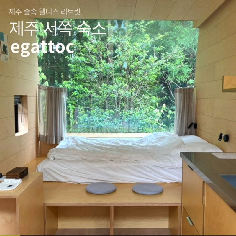 제주 서귀포 숙소 에가톳 캐빈 안덕 웰니스 힐링캠프
