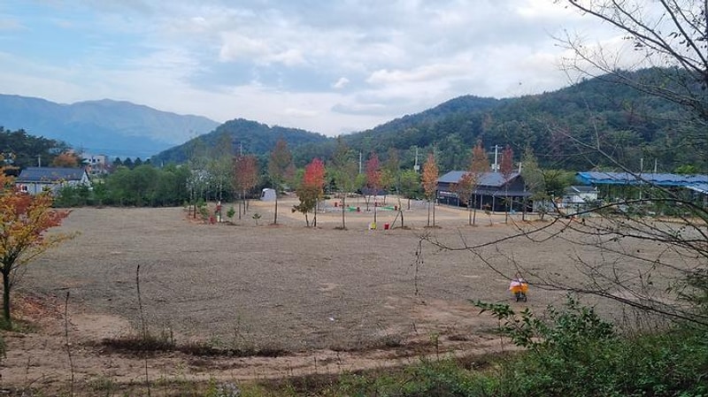 포항 서숲 오토캠핑장 대표 사진