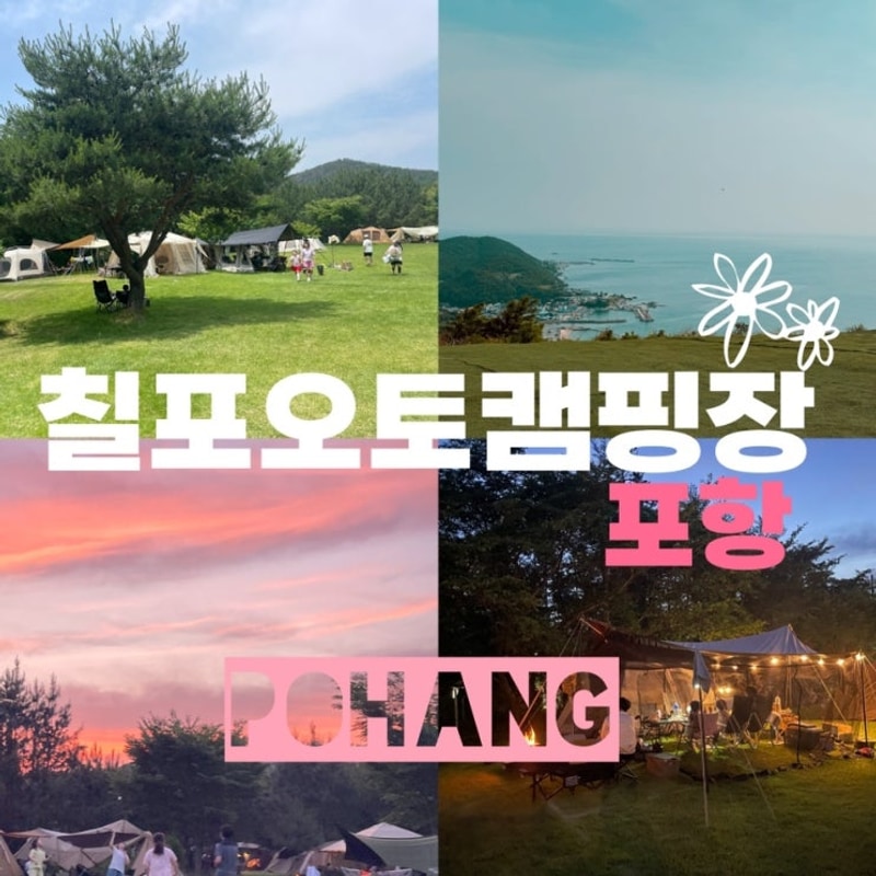 포항 칠포오토캠핑장, 푸른 잔디밭 일몰뷰로 힐링가능!(키즈캠...