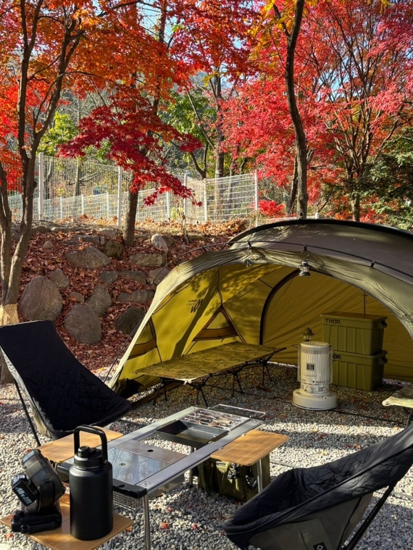 가평 지안힐링라운지 캠핑장 우드 5 가을 단풍 캠핑