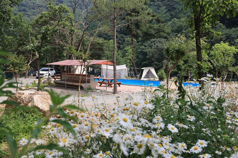 팜스프링 야영장 시설 사진 15