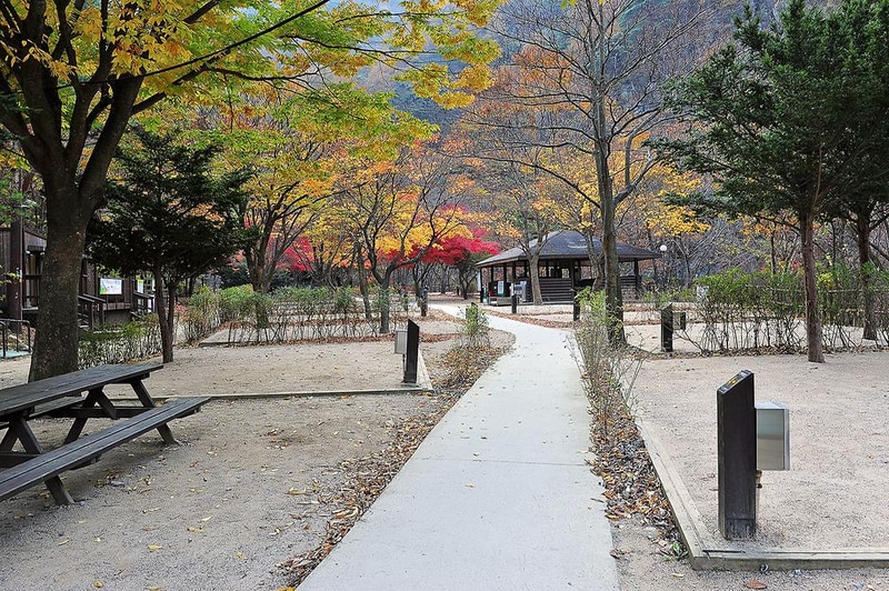 소백산국립공원 남천야영장 시설 사진 4