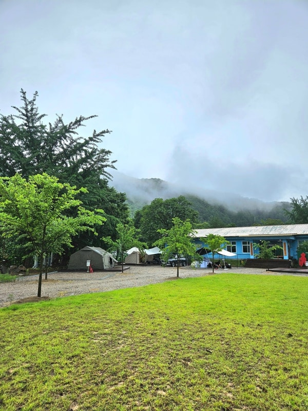 밤 하늘 빼곡한 별, 별의바다 조동캠핑장 (무주, 민주지산 캠핑장)