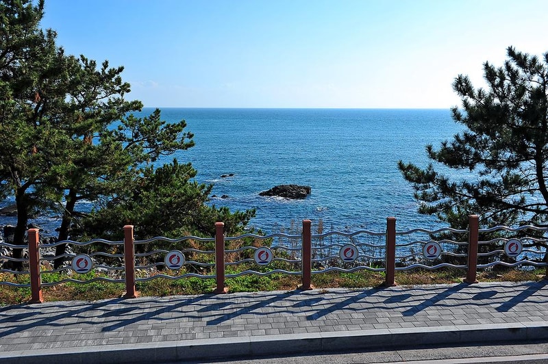 대왕암공원 캠핑장 시설 사진 11