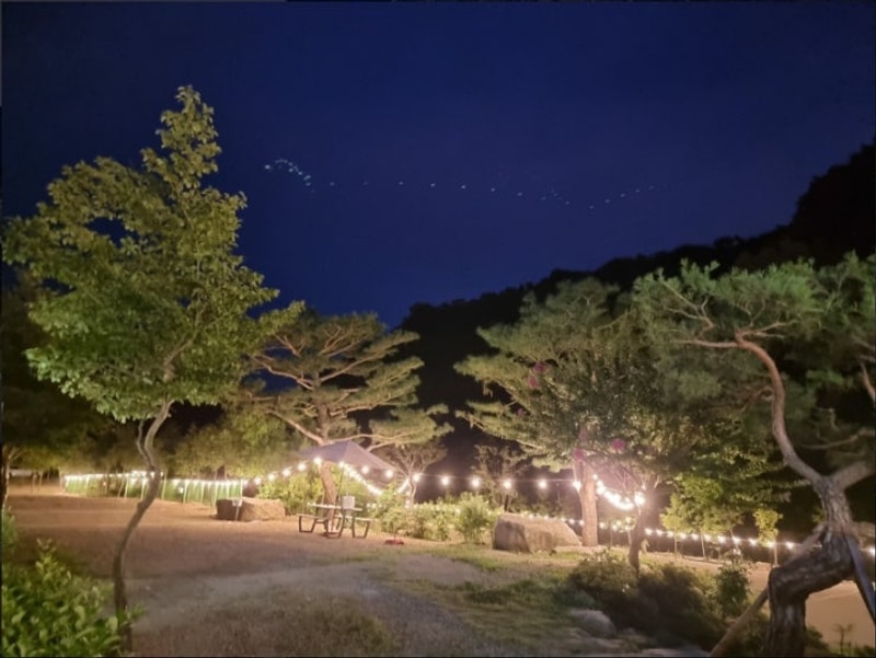 경북 경주 자연속 프리미엄 캠핑 라라캠핑장 위치 객실 가격 정보