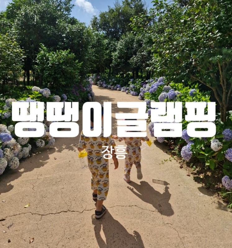 [전남 장흥] 장흥 땡땡이글램핑/ 광주근교글램핑/ 장흥 애견동반...