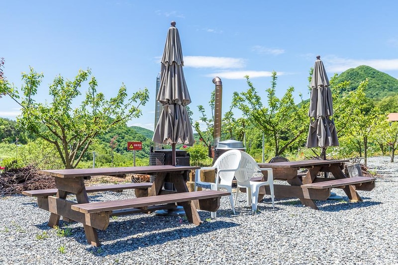 이화야영장 시설 사진 11