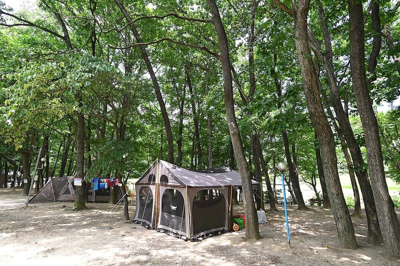 계림정야영장 시설 사진 1