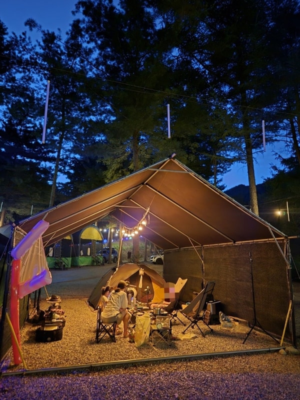 계곡과 수영장이 있는 강원도 영월 사랑나무 캠핑장