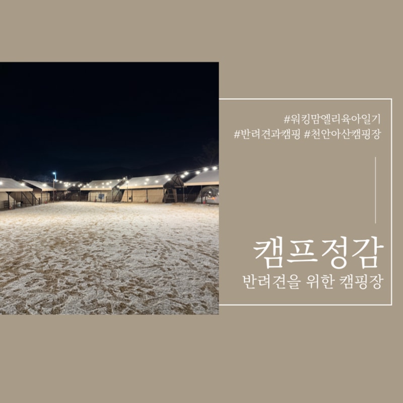 천안 아산 아이랑, 반려견과... 캠핑장 캠프정감 내돈내산후기