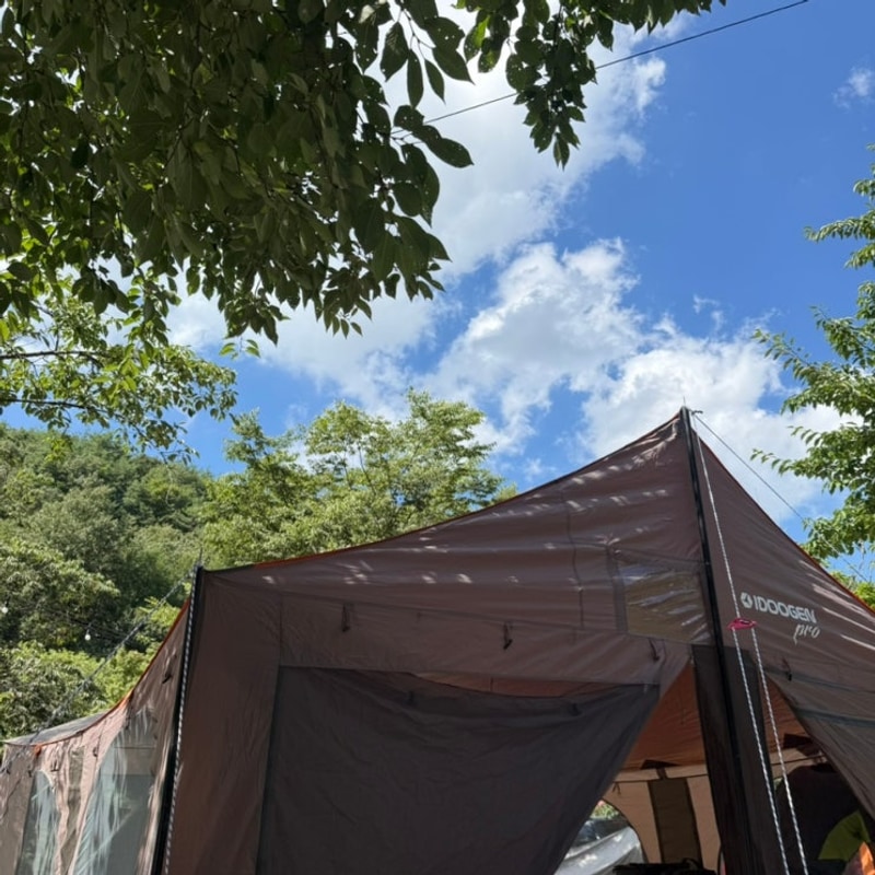 충청도 계곡 캠핑장 속리산알프스캠핑장 수영장 B6 내돈내산...