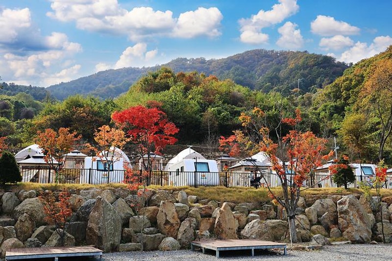 스토리숲(story숲) 대표 사진