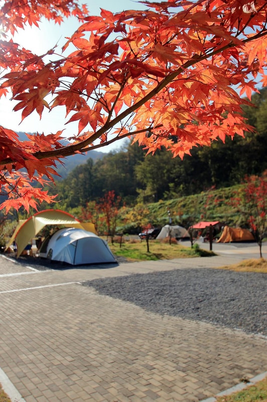 (주)하이원추추파크 시설 사진 7