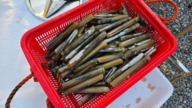 태안 갯벌체험 캠핑장 태안머드오토캠핑 후기