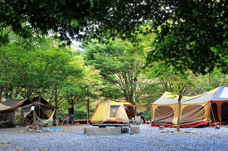 성주산 자연휴양림 대표 사진