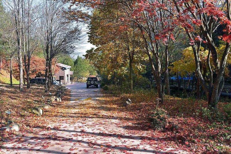 불정 자연휴양림 시설 사진 6