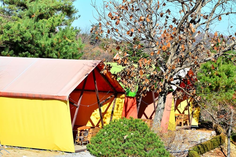 가평황토은글램핑 시설 사진 13