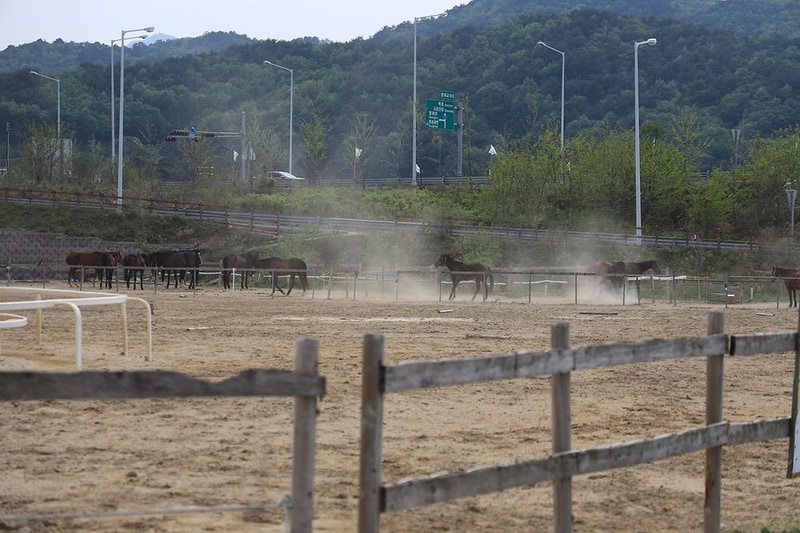 명파 해변 오토캠핑장 시설 사진 12