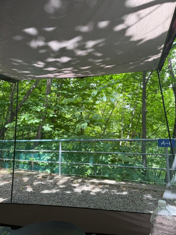 경주 문복산 캠핑장, 왜 캠퍼들이 그렇게 극찬할까? 실제 후기...