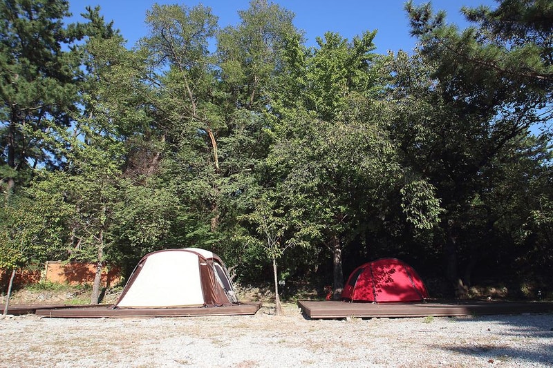 포항오토캠핑장 루트7 시설 사진 6