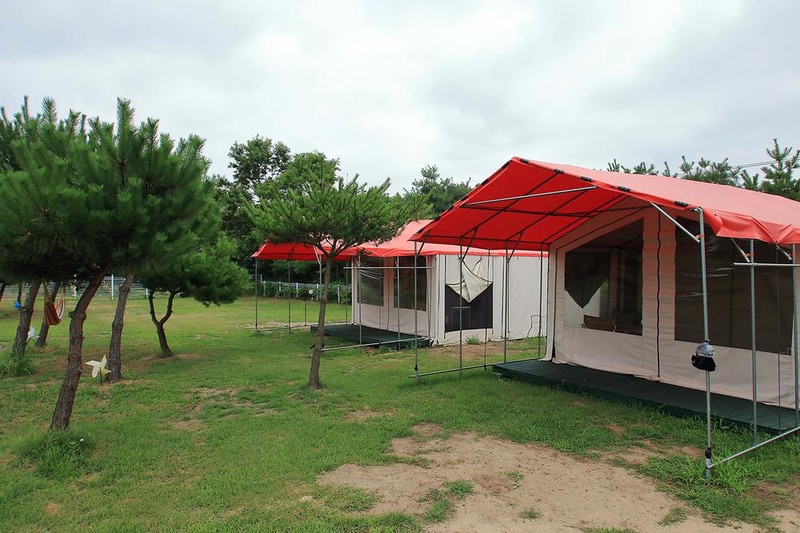 파라독스 애견펜션 / 돔글램핑&오토캠핑장 시설 사진 9