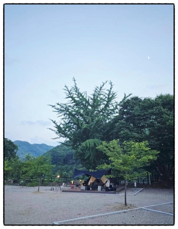 고요한 힐링가지 진짜 자연 감성 느낀 별의바다 조동캠핑장