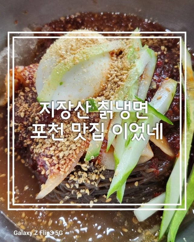 포천 꿈에그린 캠핑장 갔다가 들린  지장산 칡 냉면  포천...