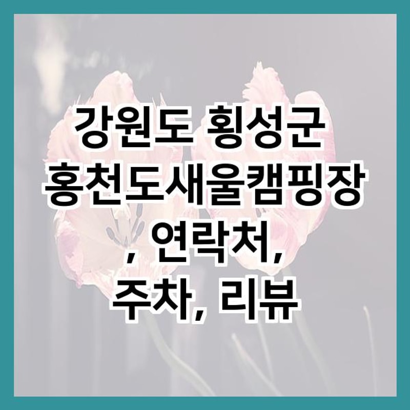 강원도 횡성군 홍천도새울캠핑장, 연락처, 주차, 리뷰