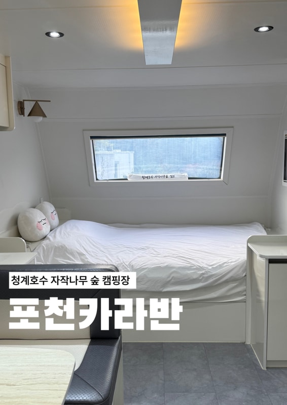 포천카라반 청계호수 자작나무 숲 캠핑장 포천카라반 시설좋고...