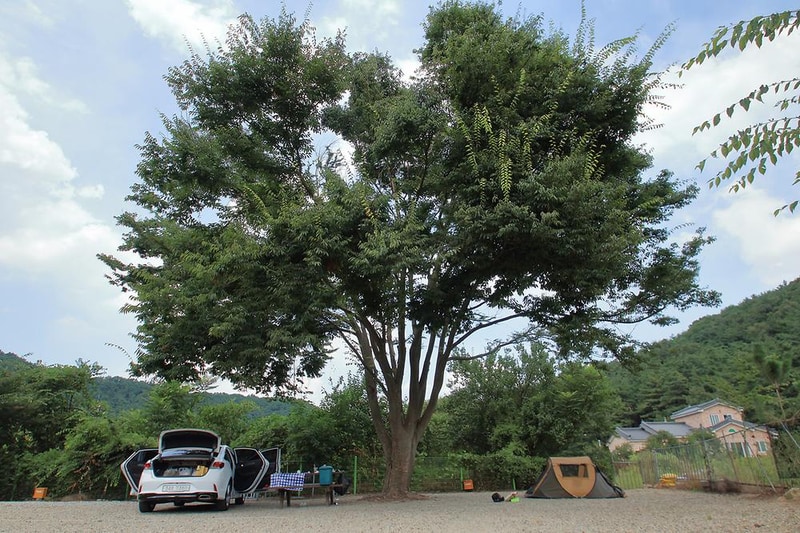 강당골캠핑파크 시설 사진 4