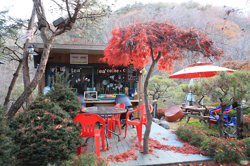 펜션벨뷰캠핑장 시설 사진 4