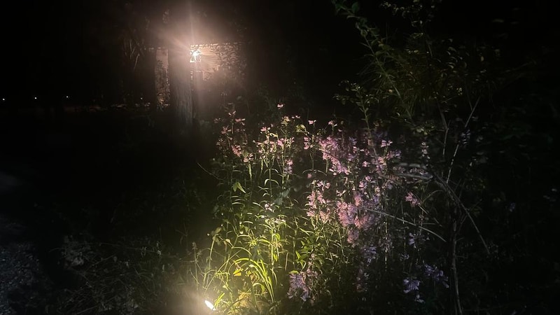 좋은하루캠핑장 시설 사진 4