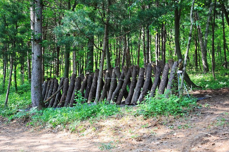 숲에서 놀자 시설 사진 4