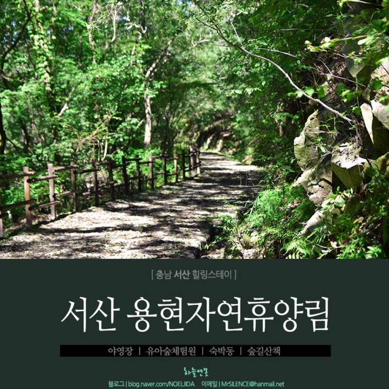 [충남 서산 힐링스테이] 아이... 용현 자연휴양림 - 야영장...