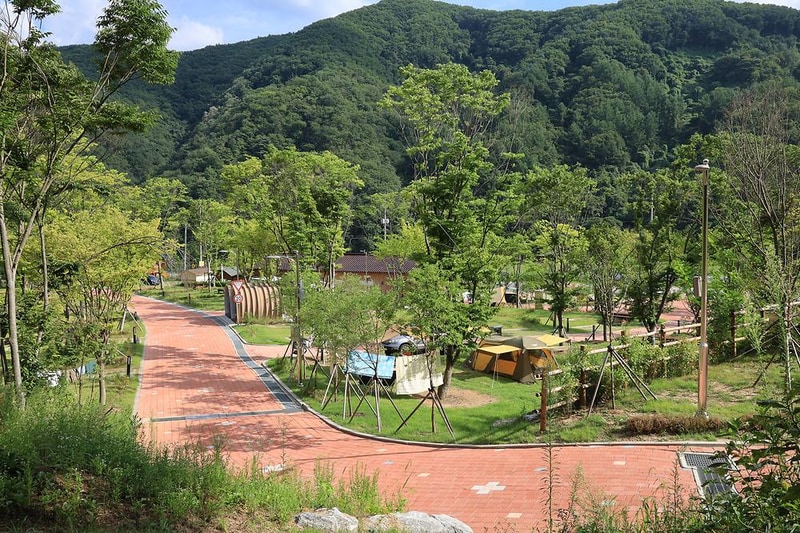 홍천강 자라바위 오토캠핑장 시설 사진 8