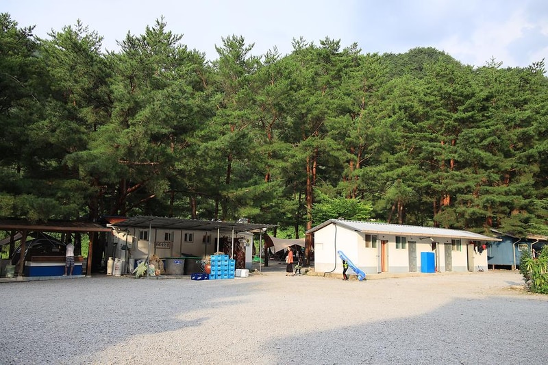 내리계곡 솔밭캠핑장 시설 사진 29
