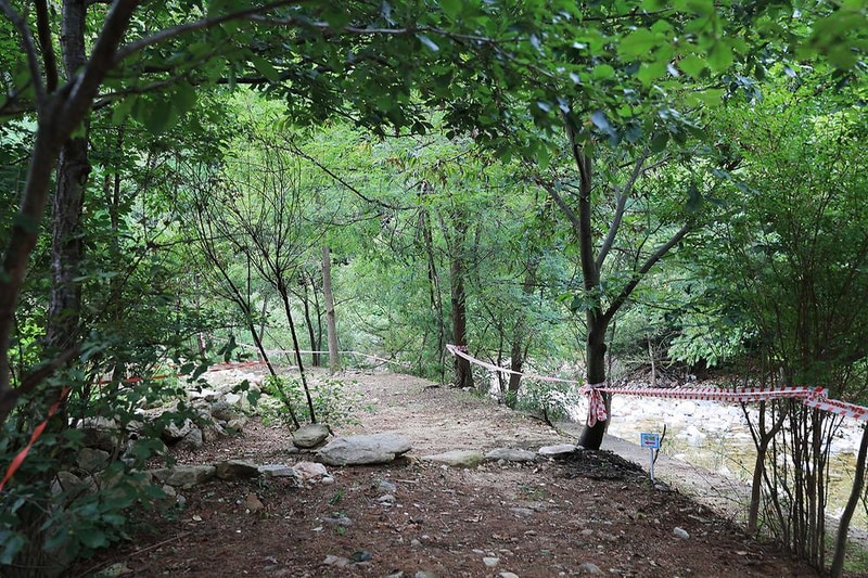 279캠핑장 시설 사진 18